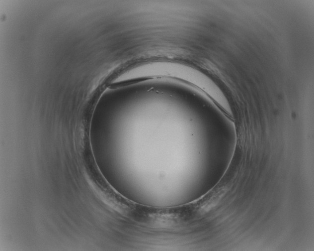 X0000066080448200603311939