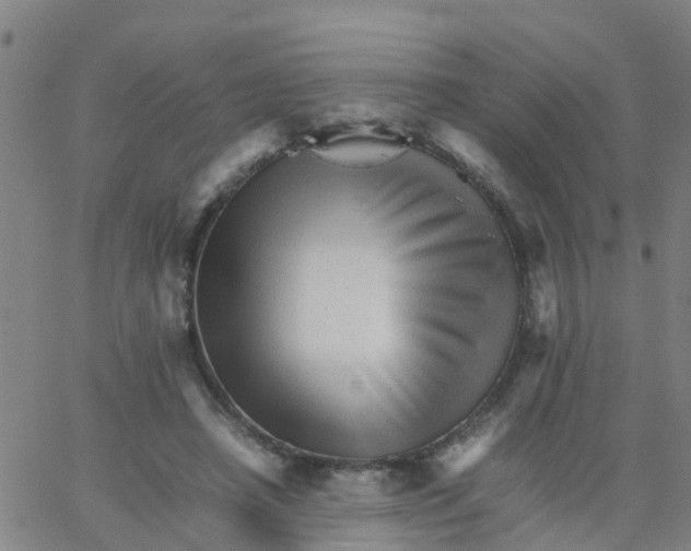 X0000066080450200603311939