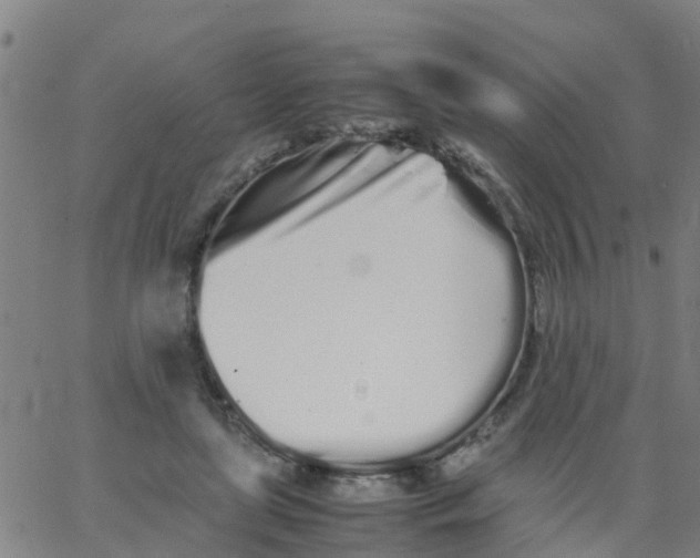 X0000066080451200603311939