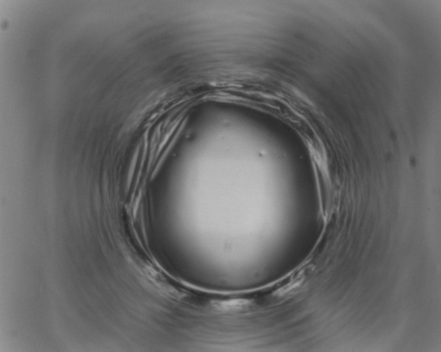 X0000066080452200603311939