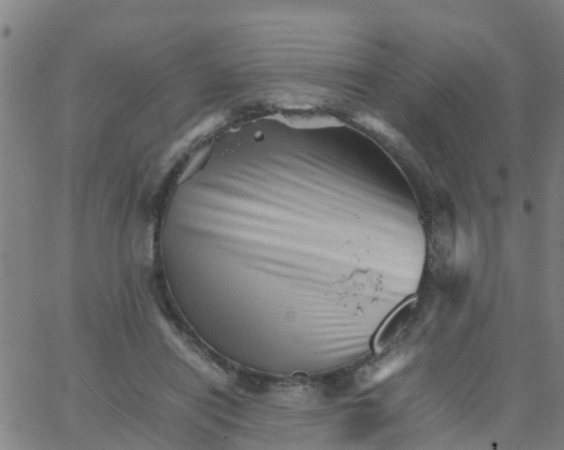 X0000066080454200603311939