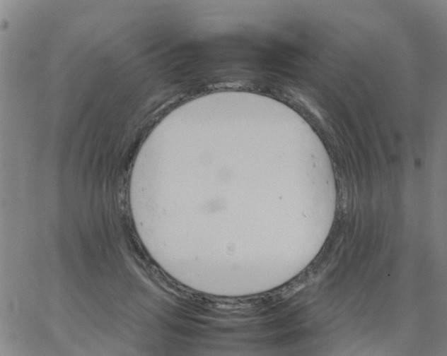 X0000066080455200603311939