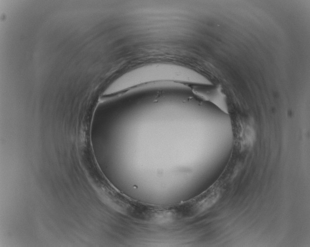 X0000066080456200603311939