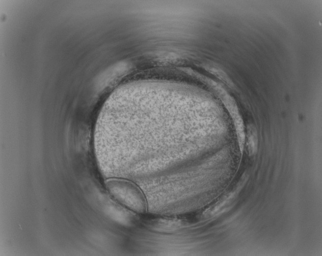 X0000066080458200603311939