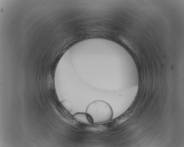 X0000066080459200603311939