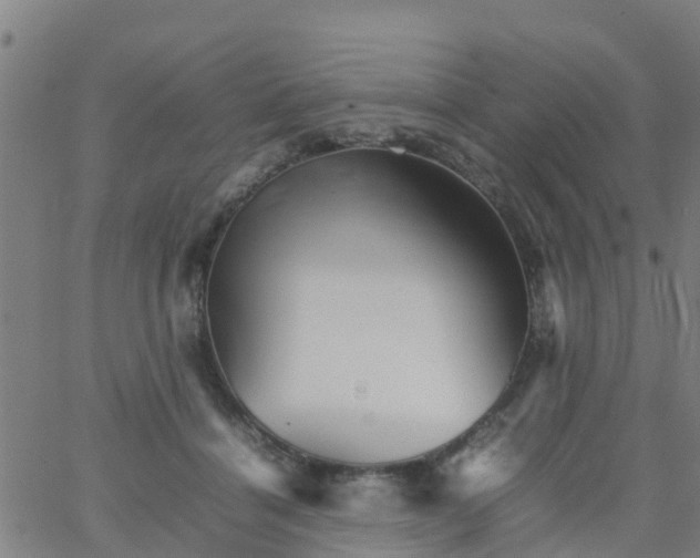 X0000066080460200603311939