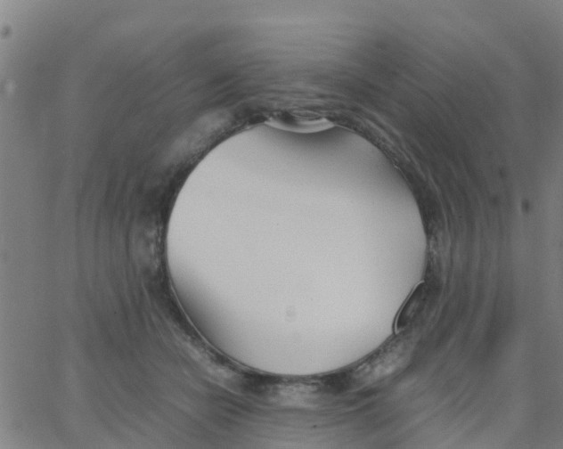 X0000066080462200603311939