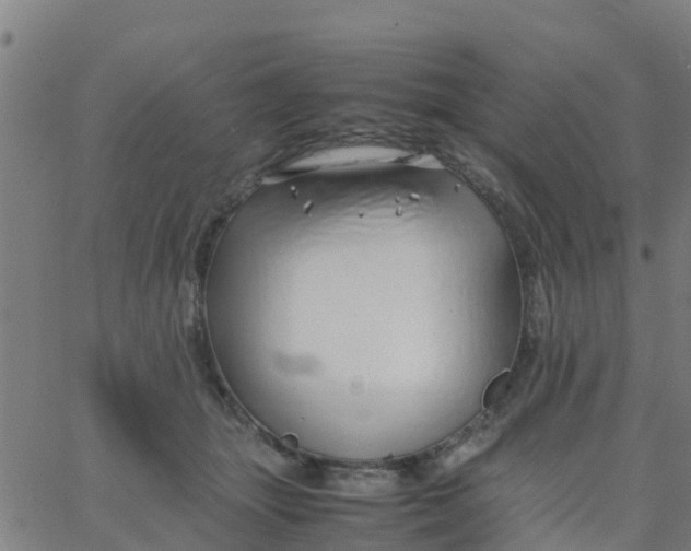 X0000066080463200603311939