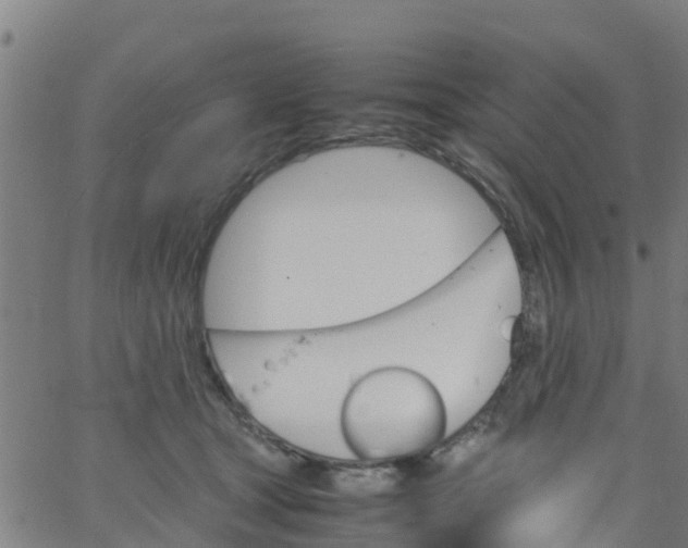 X0000066080465200603311939