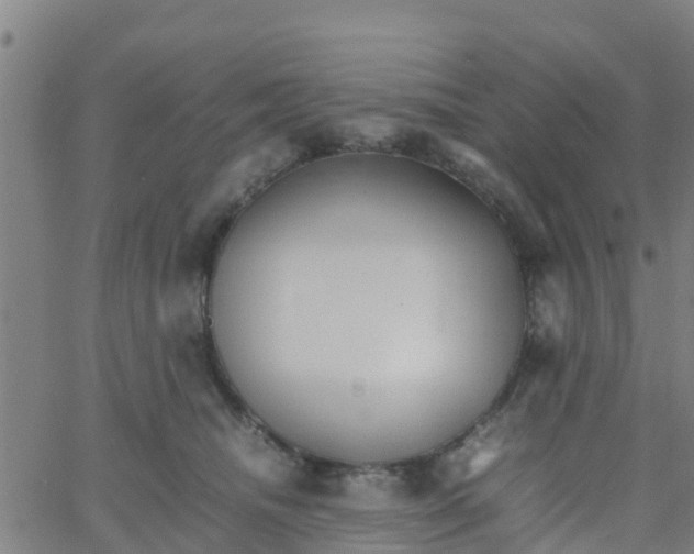 X0000066080468200603311939