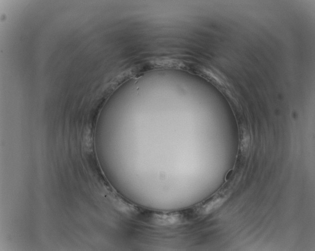 X0000066080469200603311940