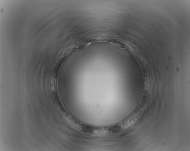 X0000066080470200603311940