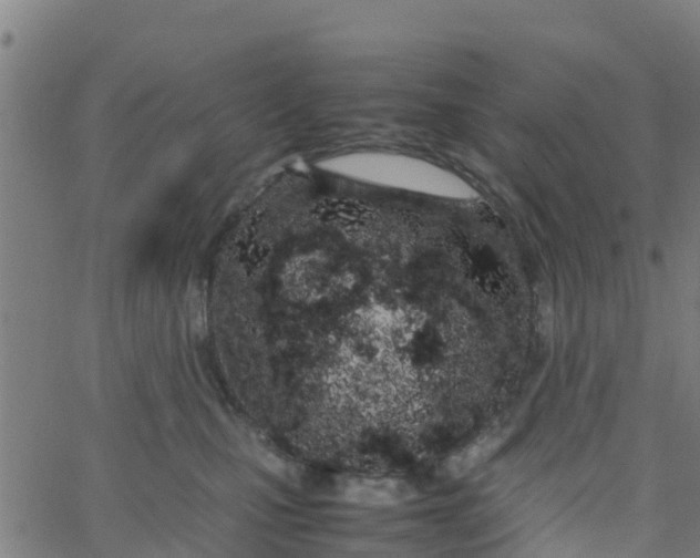 X0000066080471200603311940