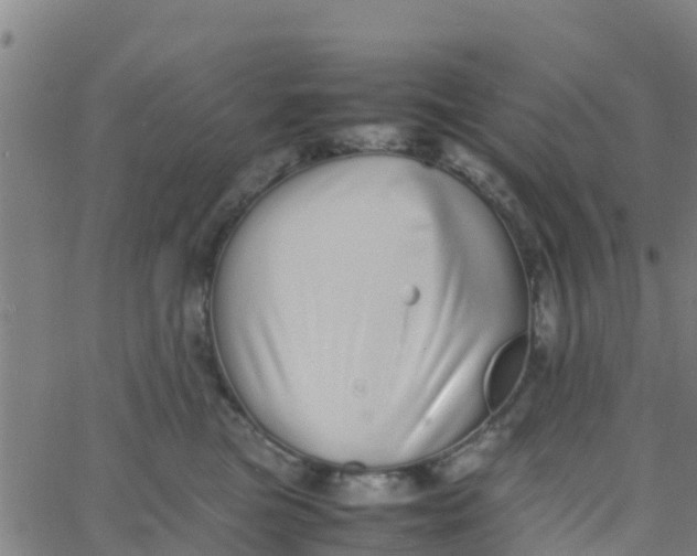 X0000066080473200603311940