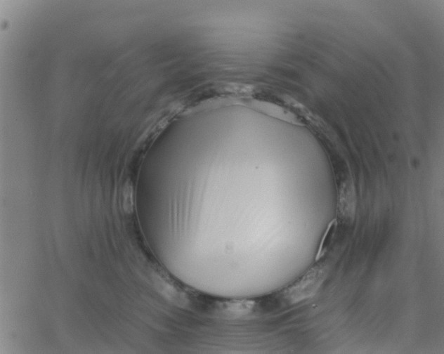 X0000066080474200603311940