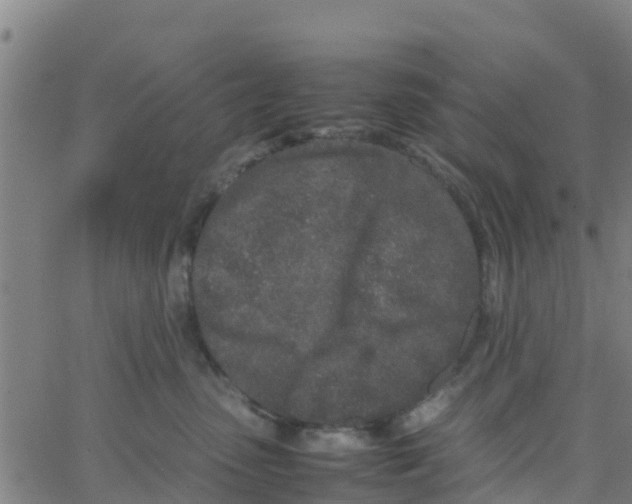 X0000066080475200603311940