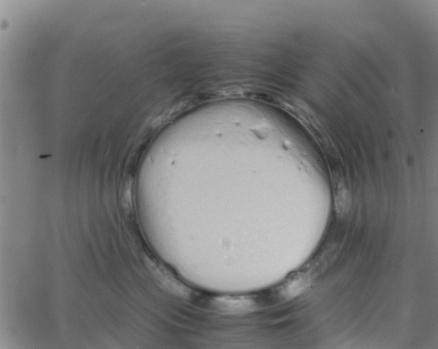 X0000066080477200603311940