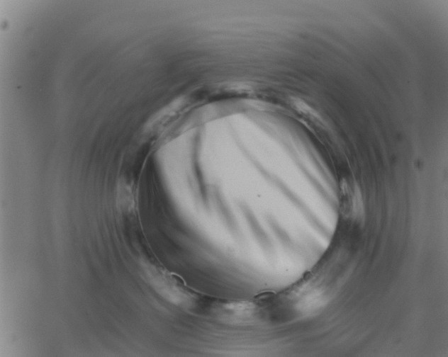 X0000066080478200603311940