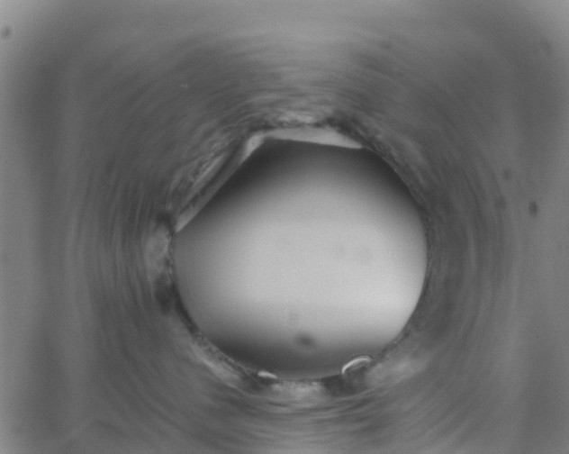 X0000066080480200603311940