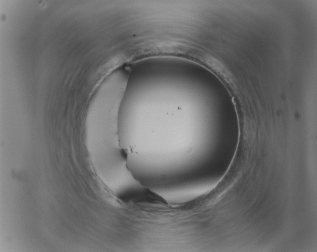 X0000066080481200603311939