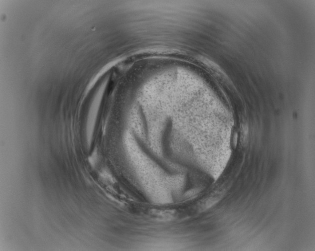 X0000066080484200603311939