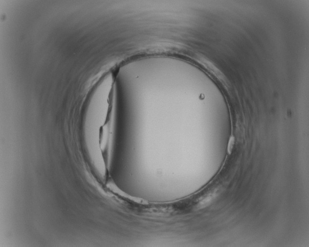 X0000066080485200603311939