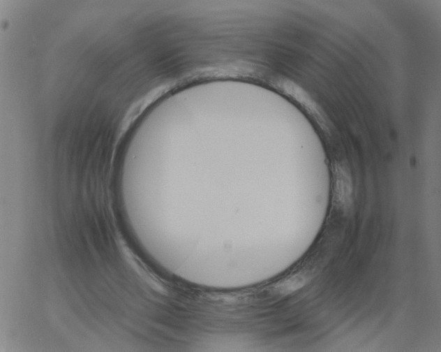 X0000066080486200603311939