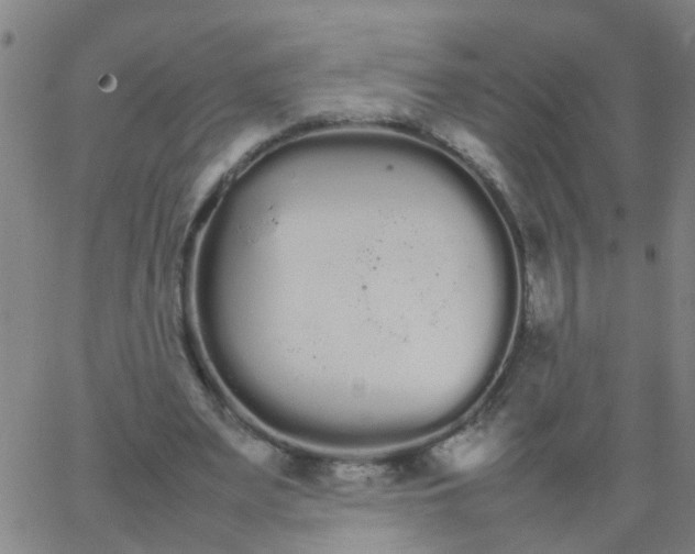 X0000066080487200603311939