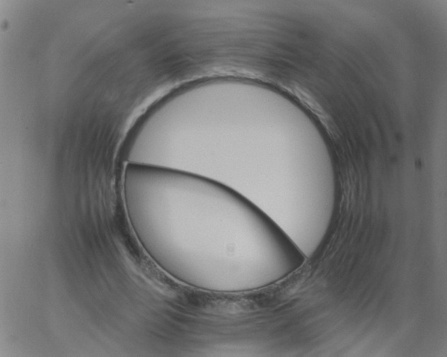 X0000066080488200603311939