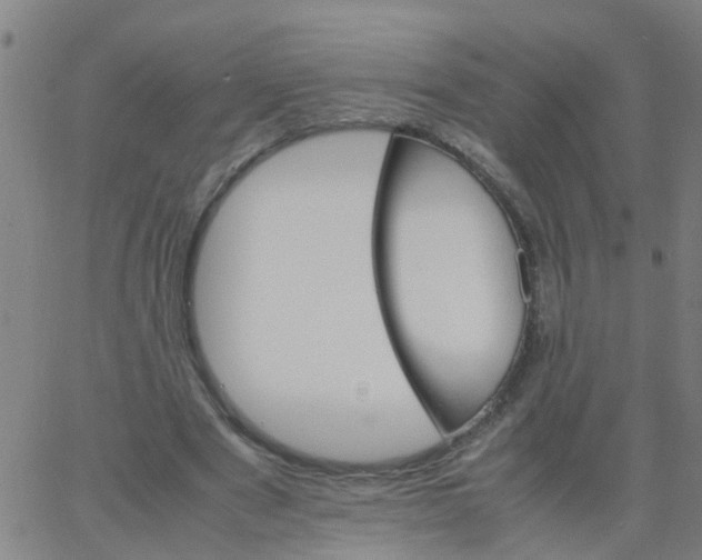 X0000066080489200603311939