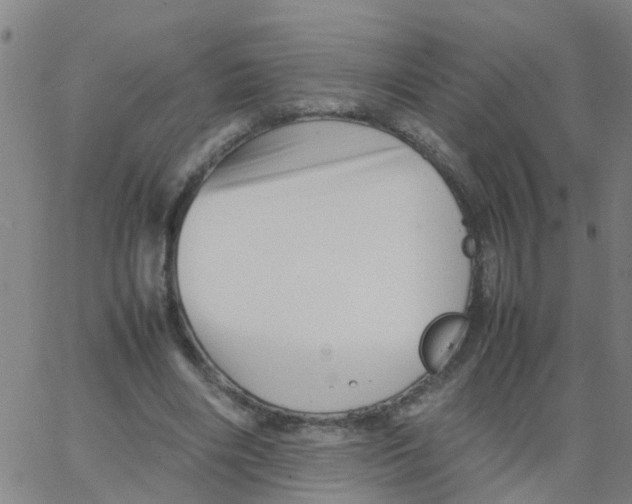 X0000066080490200603311939