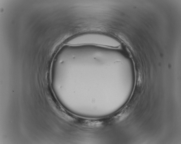 X0000066080491200603311939