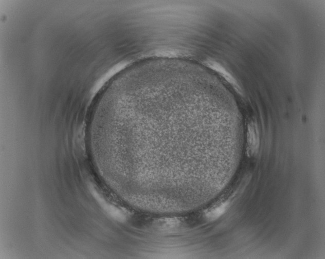 X0000066080492200603311939