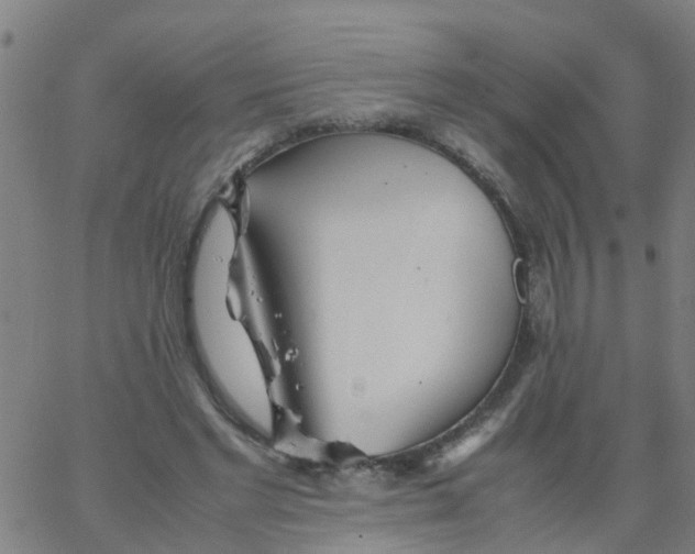 X0000066080493200603311939