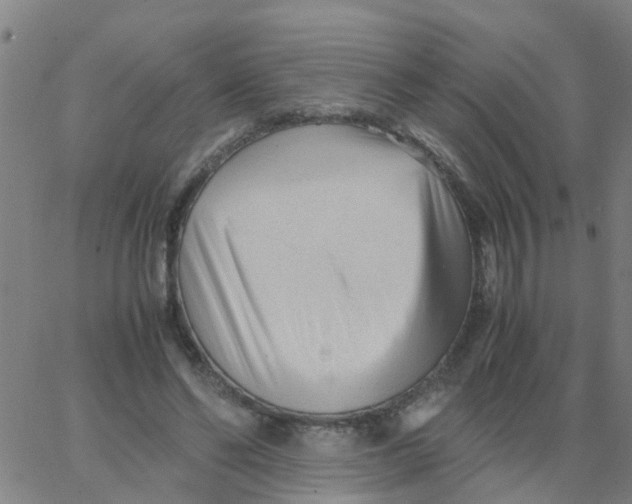 X0000066080494200603311939