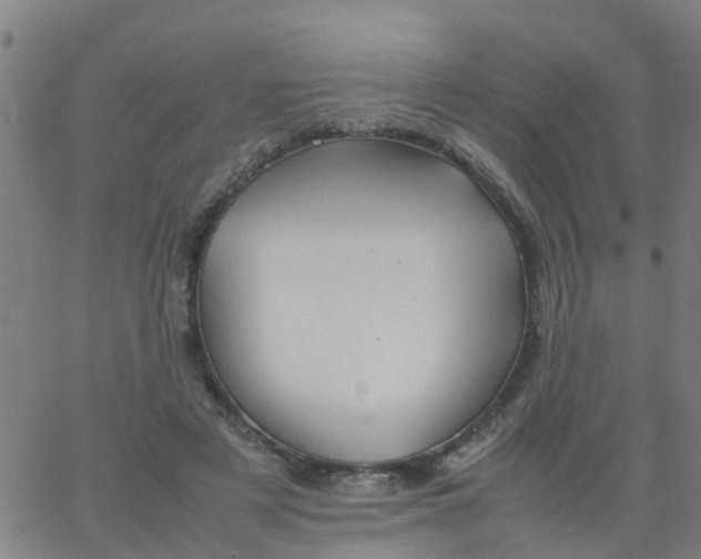 X0000066080497200603311939