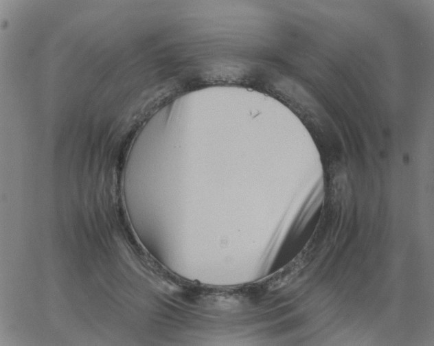 X0000066080498200603311939