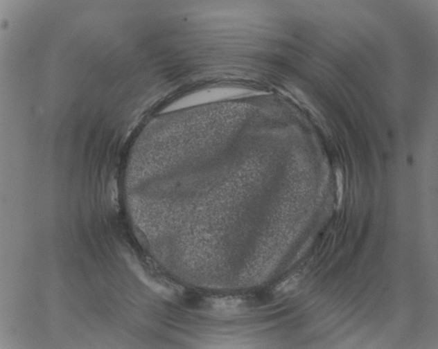 X0000066080500200603311939