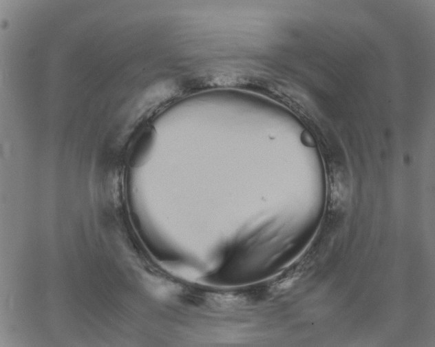 X0000066080503200603311938