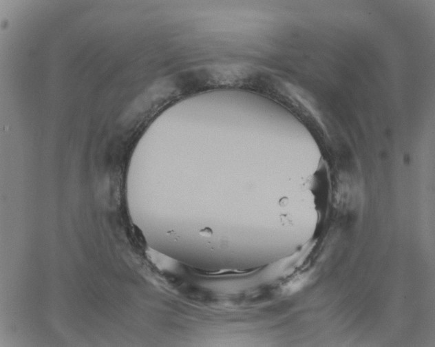 X0000066080505200603311938