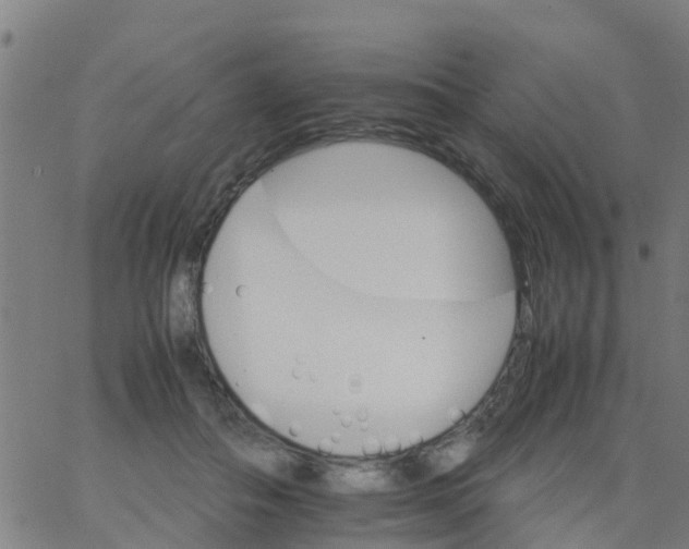 X0000066080506200603311938