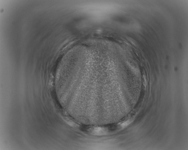 X0000066080507200603311938