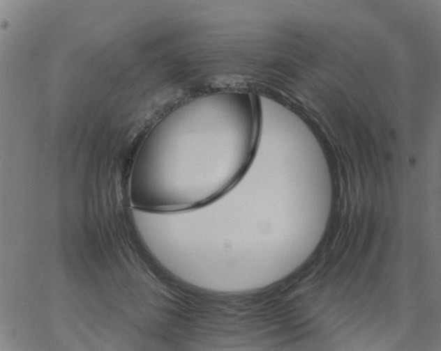 X0000066080508200603311938