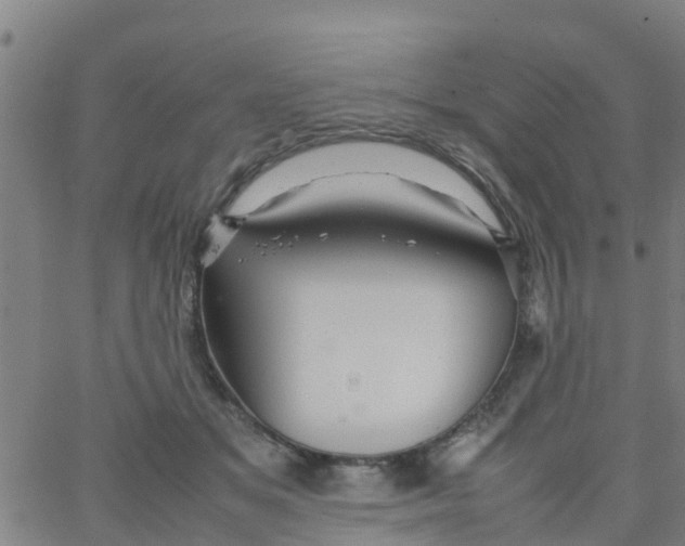 X0000066080509200603311938