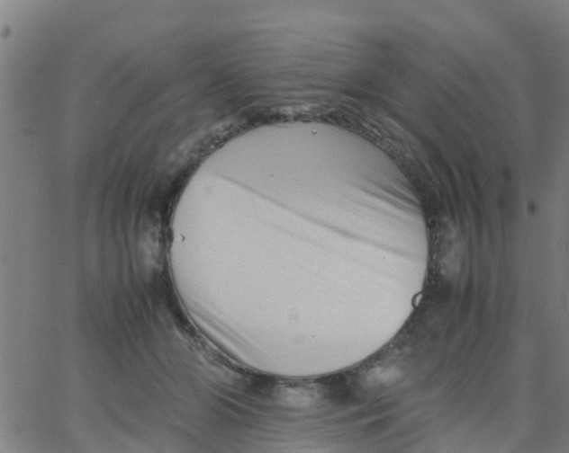 X0000066080510200603311938