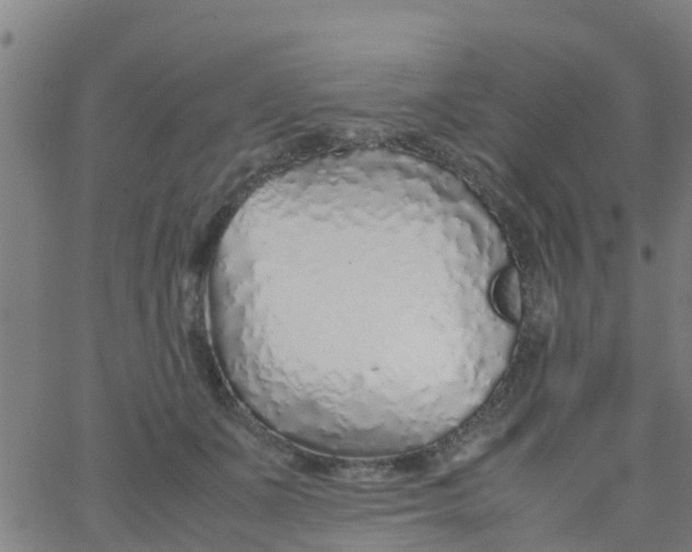 X0000066080511200603311938