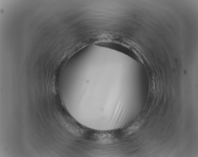 X0000066080512200603311938