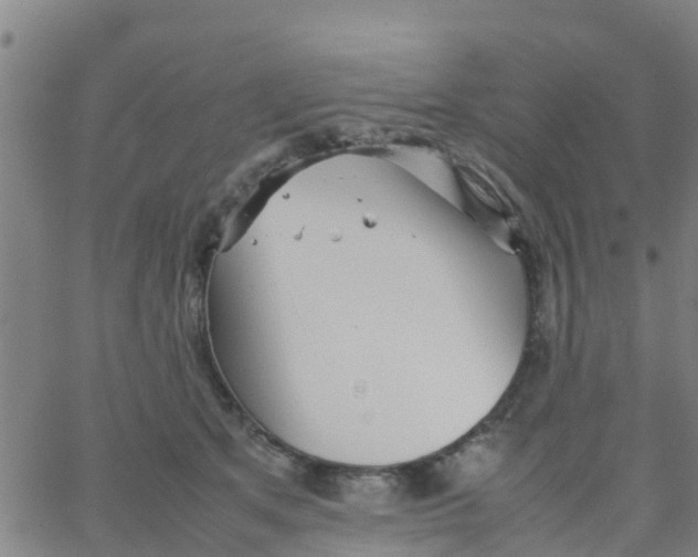 X0000066080513200603311938