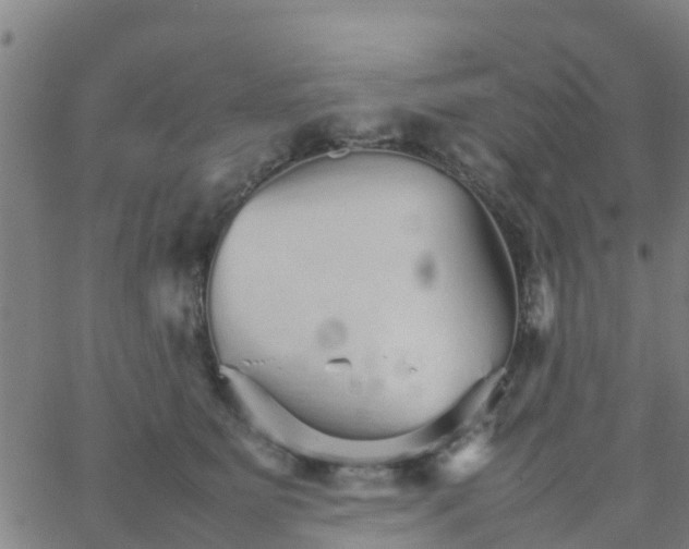 X0000066080515200603311938