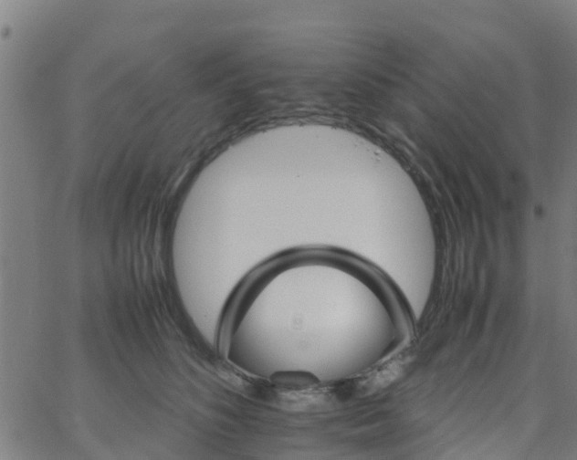 X0000066080516200603311938